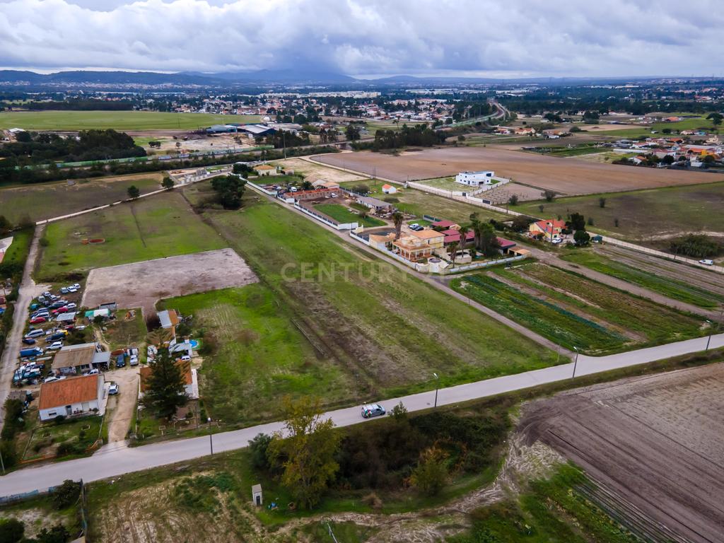 Lote de Terreno Rustico | 15.200m2 | Quinta do Anjo - Image 10