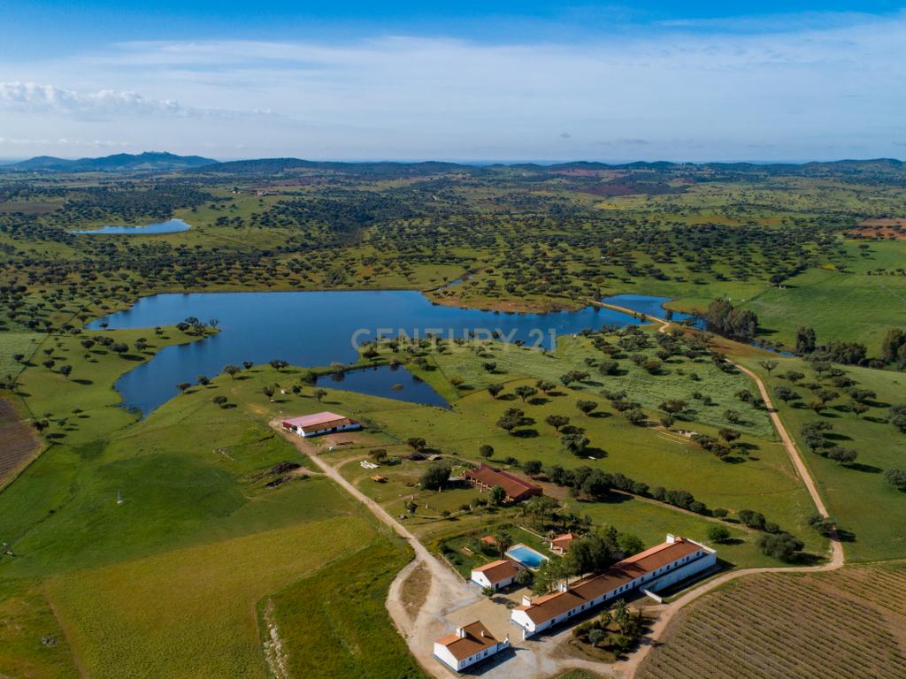 Herdade de 190 Hectares (16 Hectares de Vinha) a 10 km do lago de Alqueva (Alentejo, Portugal) - Image 6