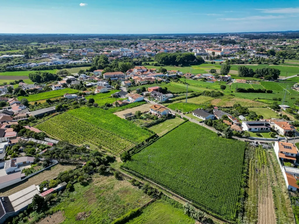 Terreno com 1.290m2 para construção de Moradia até 774m2, em Salreu - Image 15