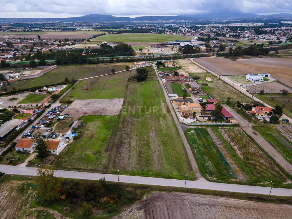 Lote de Terreno Rustico | 15.200m2 | Quinta do Anjo - Image 3
