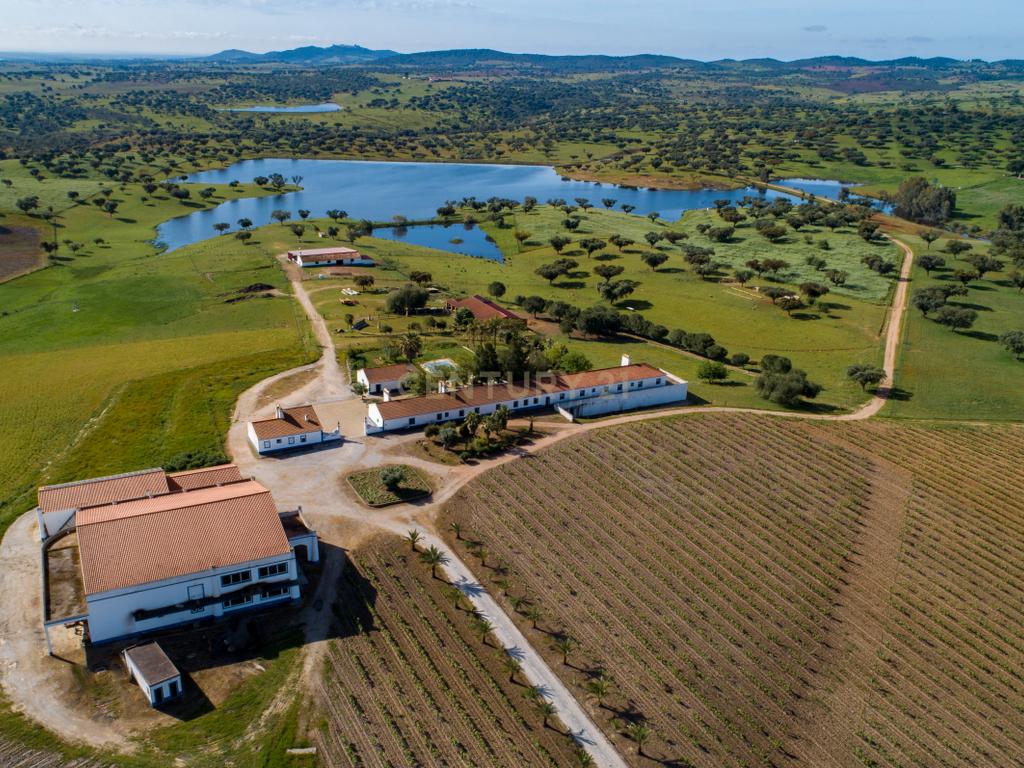 Herdade de 190 Hectares (16 Hectares de Vinha) a 10 km do lago de Alqueva (Alentejo, Portugal) - Image 3