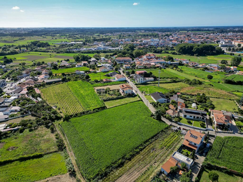 Terreno com 1.290m2 para construção de Moradia até 774m2, em Salreu - Image 16