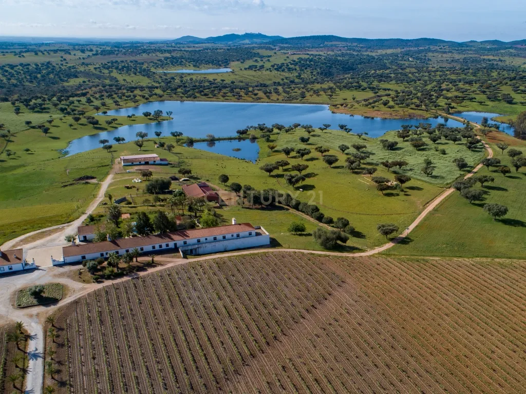 Herdade de 190 Hectares (16 Hectares de Vinha) a 10 km do lago de Alqueva (Alentejo, Portugal) - Image 5
