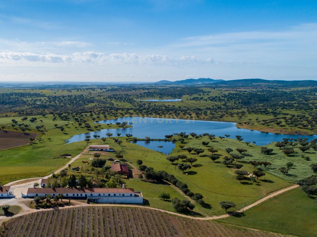 Herdade de 190 Hectares (16 Hectares de Vinha) a 10 km do lago de Alqueva (Alentejo, Portugal) - Image 7