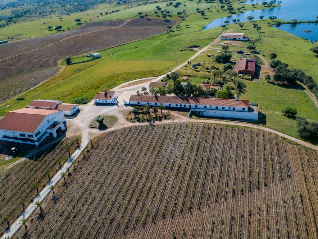 Herdade de 190 Hectares (16 Hectares de Vinha) a 10 km do lago de Alqueva (Alentejo, Portugal) - Image 4