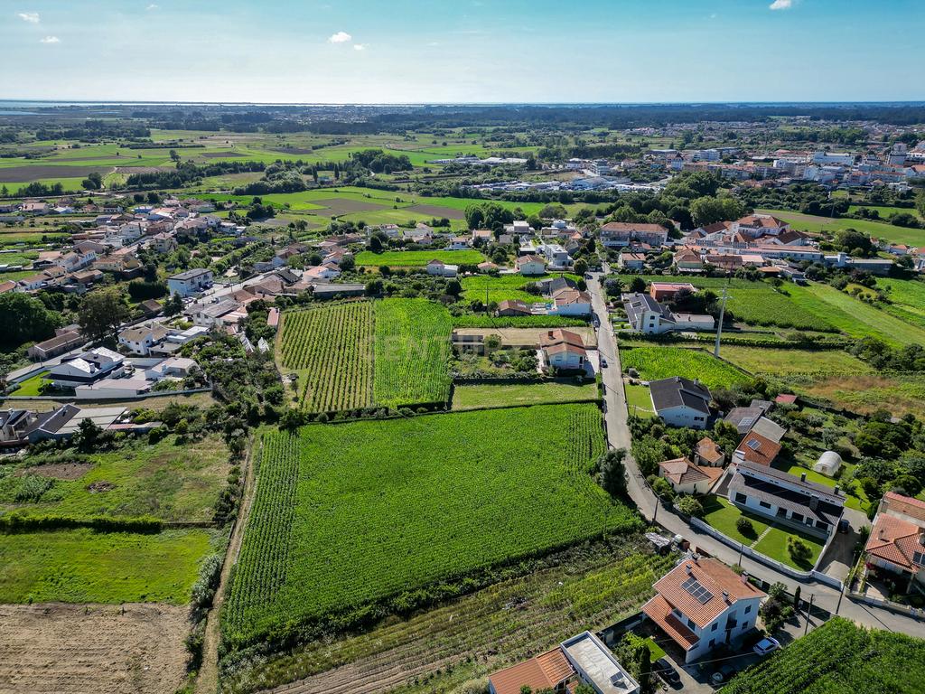 Terreno com 1.290m2 para construção de Moradia até 774m2, em Salreu - Image 17