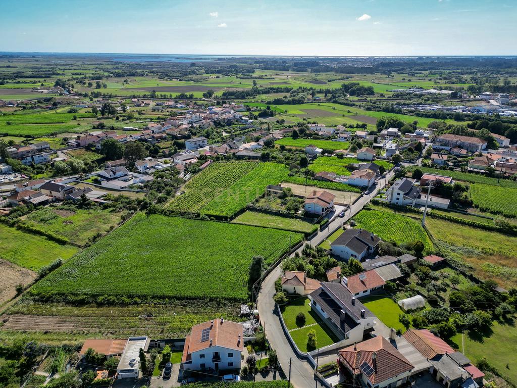Terreno com 1.290m2 para construção de Moradia até 774m2, em Salreu - Image 18