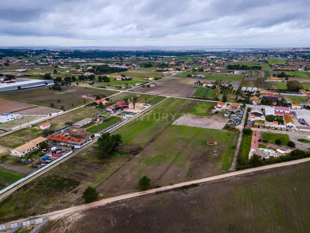 Lote de Terreno Rustico | 15.200m2 | Quinta do Anjo - Image 5