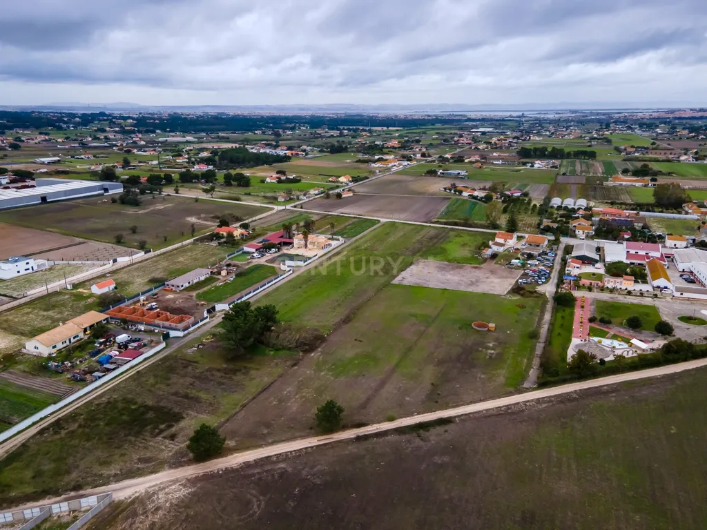 Lote de Terreno Rustico | 15.200m2 | Quinta do Anjo - Image 5