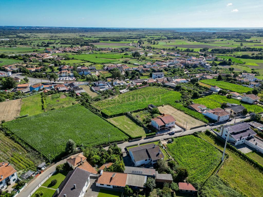 Terreno com 1.290m2 para construção de Moradia até 774m2, em Salreu - Image 34