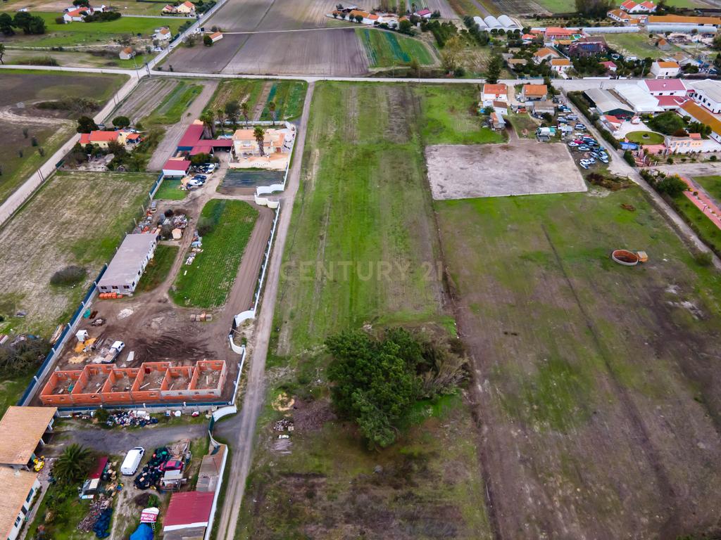 Lote de Terreno Rustico | 15.200m2 | Quinta do Anjo - Image 8