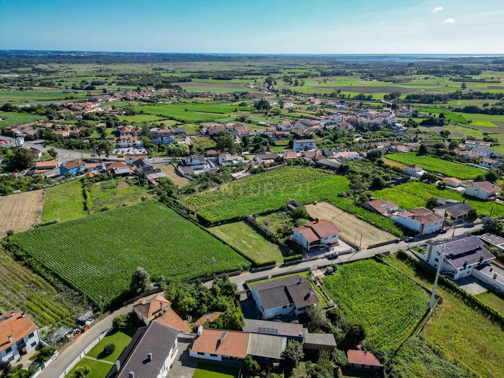 Terreno com 1.290m2 para construção de Moradia até 774m2, em Salreu - Image 22