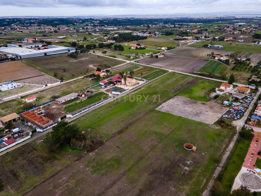Lote de Terreno Rustico | 15.200m2 | Quinta do Anjo - Image 2