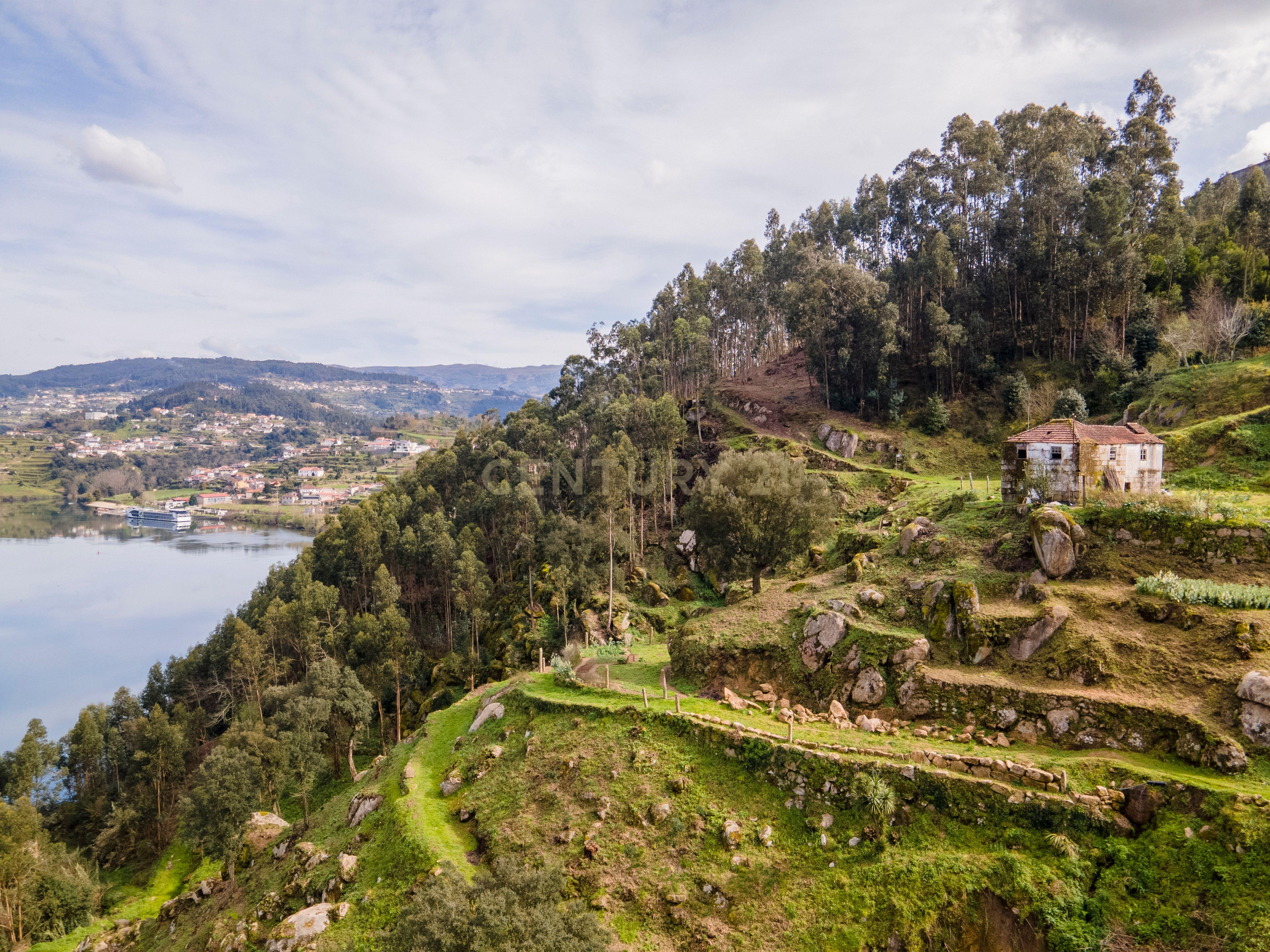 QUINTA COM MARGEM RIO DOURO - Image 30