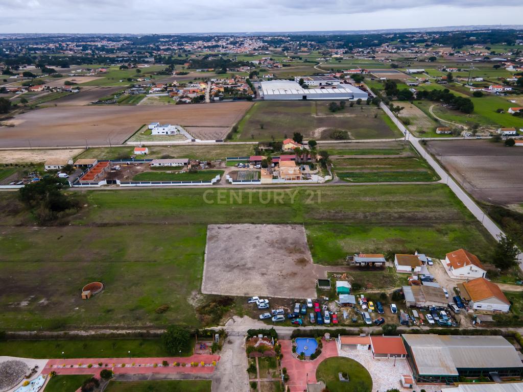 Lote de Terreno Rustico | 15.200m2 | Quinta do Anjo - Image 12