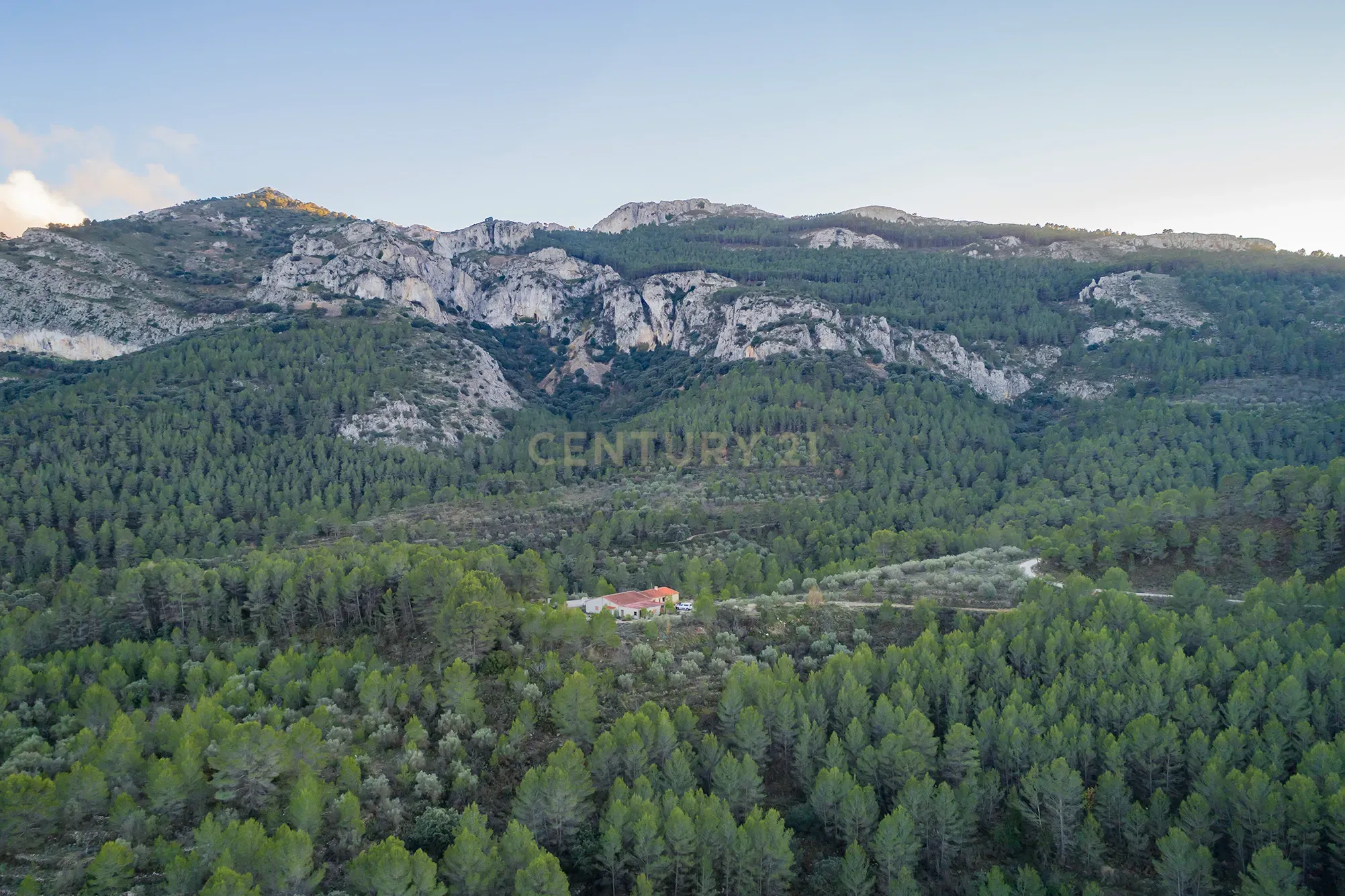 undefined - Image 6