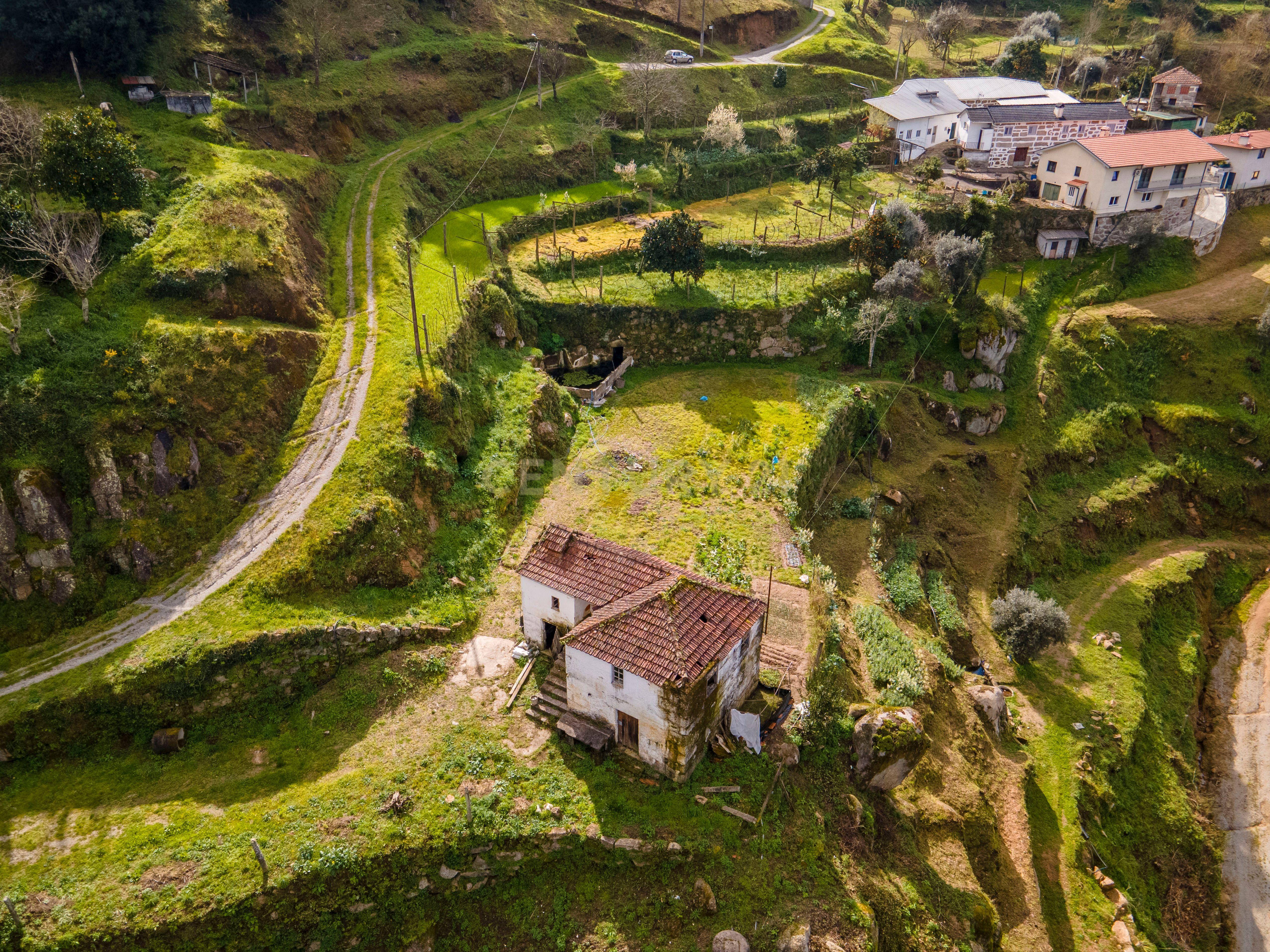QUINTA COM MARGEM RIO DOURO - Image 10