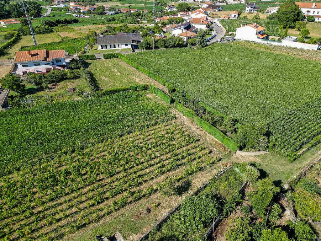 Terreno com 1.290m2 para construção de Moradia até 774m2, em Salreu - Image 21