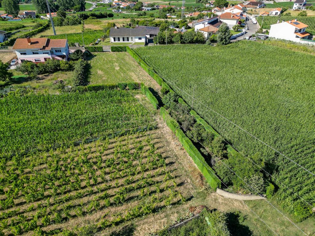 Terreno com 1.290m2 para construção de Moradia até 774m2, em Salreu - Image 27