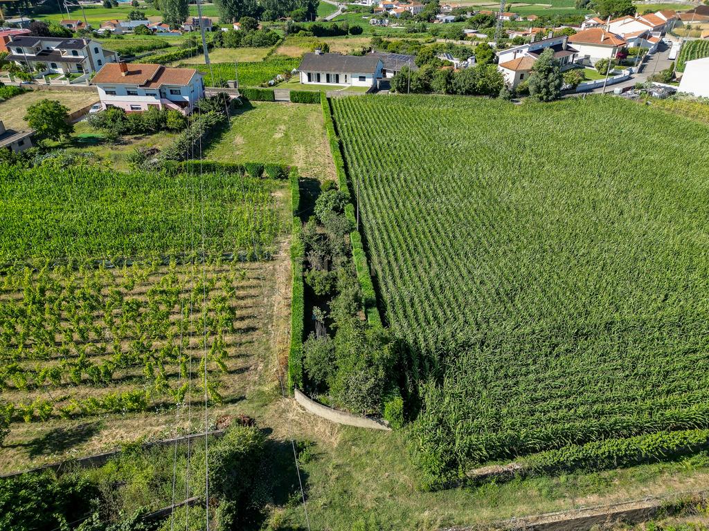 Terreno com 1.290m2 para construção de Moradia até 774m2, em Salreu - Image 28