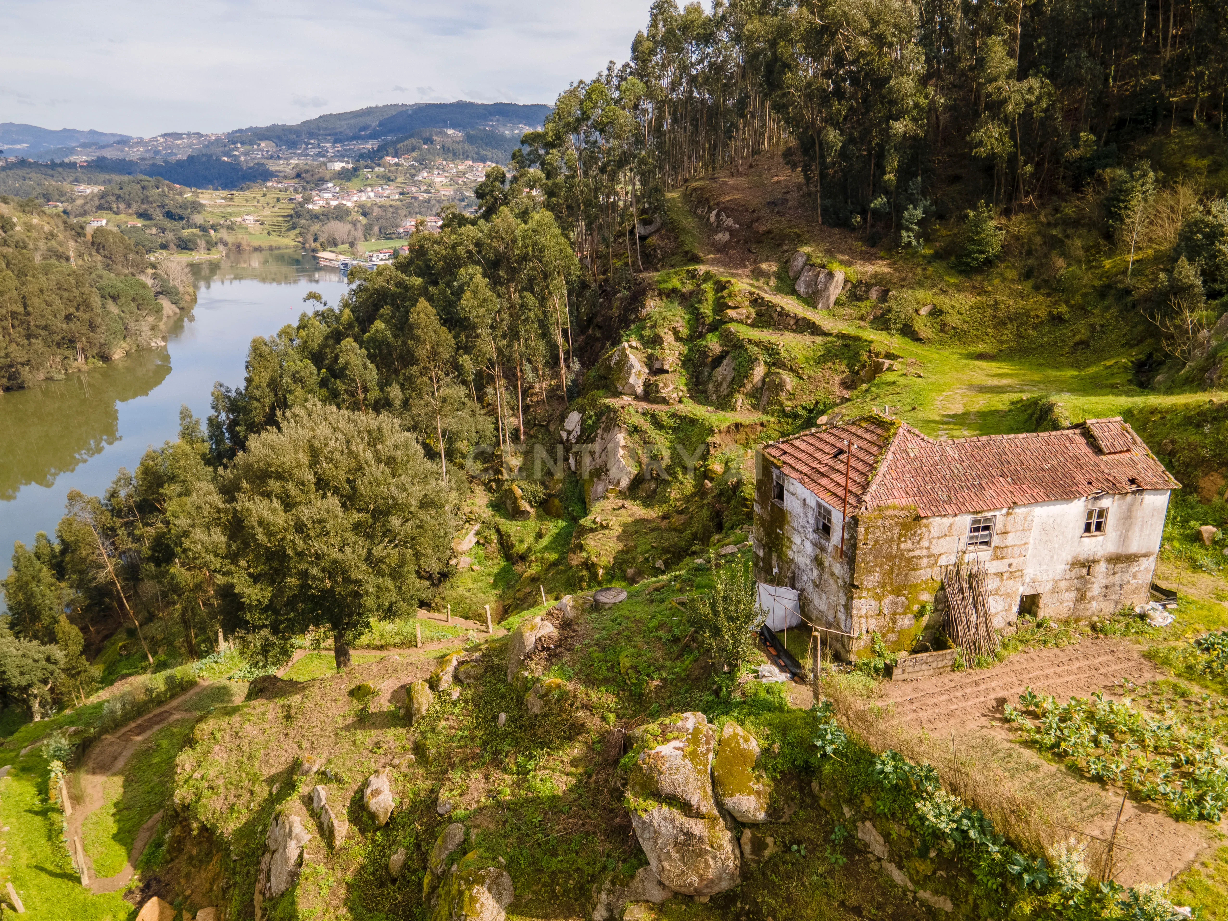 QUINTA COM MARGEM RIO DOURO - Image 1