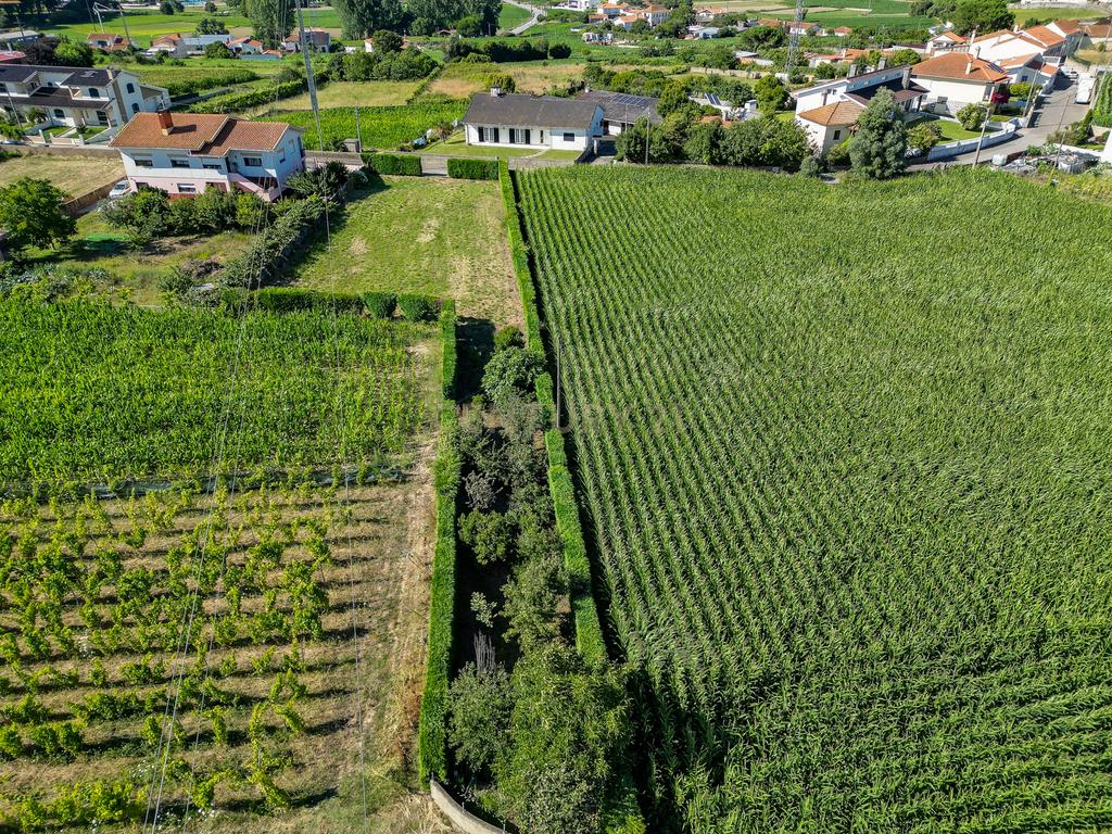 Terreno com 1.290m2 para construção de Moradia até 774m2, em Salreu - Image 29