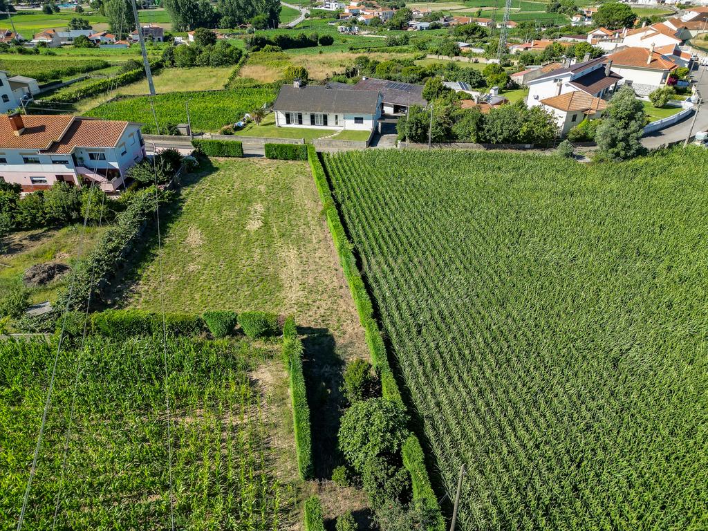 Terreno com 1.290m2 para construção de Moradia até 774m2, em Salreu - Image 30
