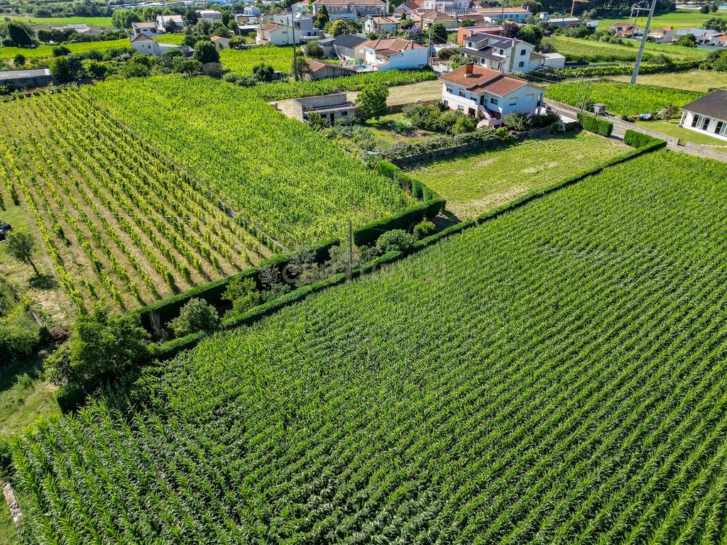 Terreno com 1.290m2 para construção de Moradia até 774m2, em Salreu - Image 31