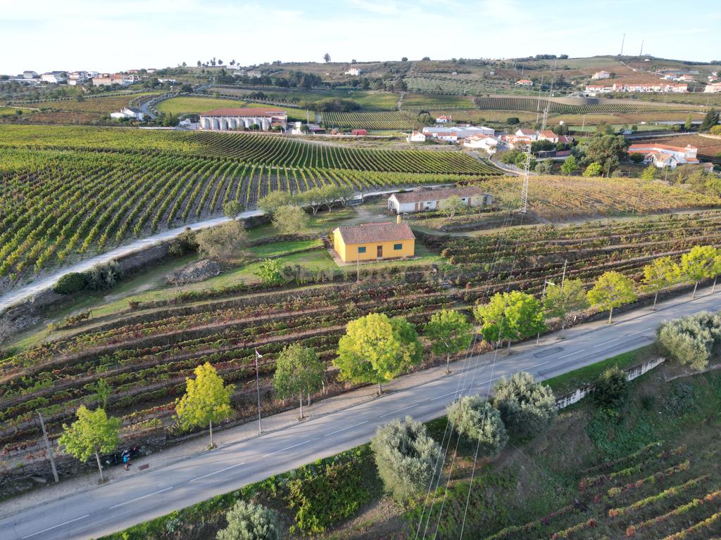 Quinta com 10,000m2 albergando uma Moradia e Armazém em São João da Pesqueira - Image 19