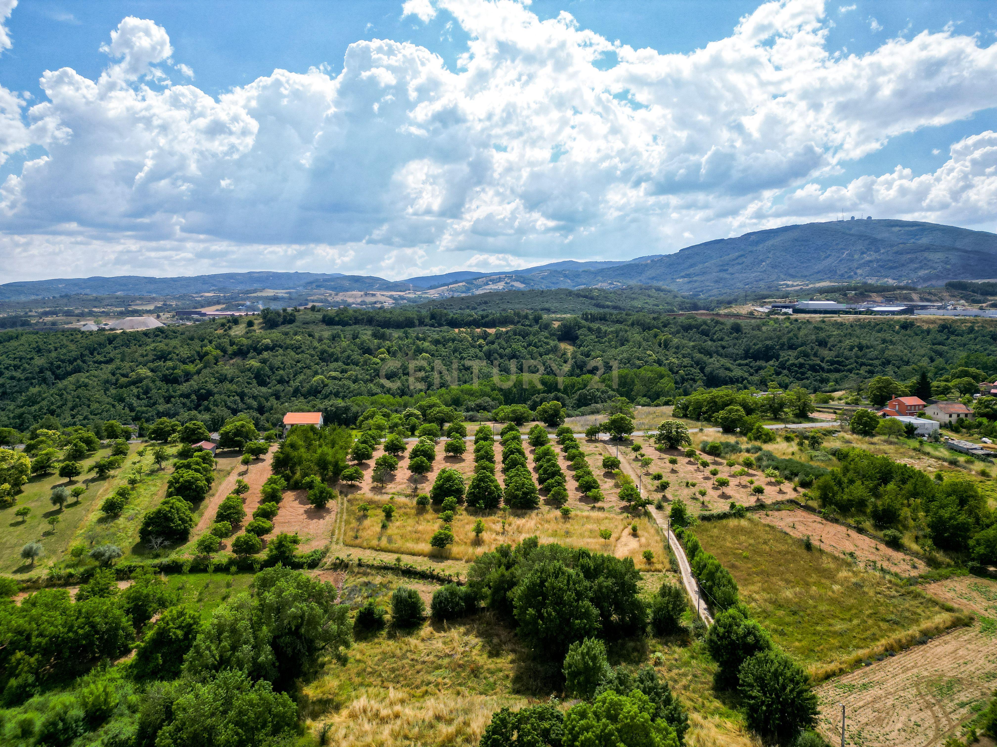 Moradia para reconstruir na aldeia de Mós, Bragança - Image 17