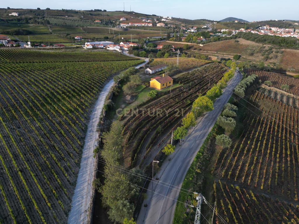 Quinta com 10,000m2 albergando uma Moradia e Armazém em São João da Pesqueira - Image 4