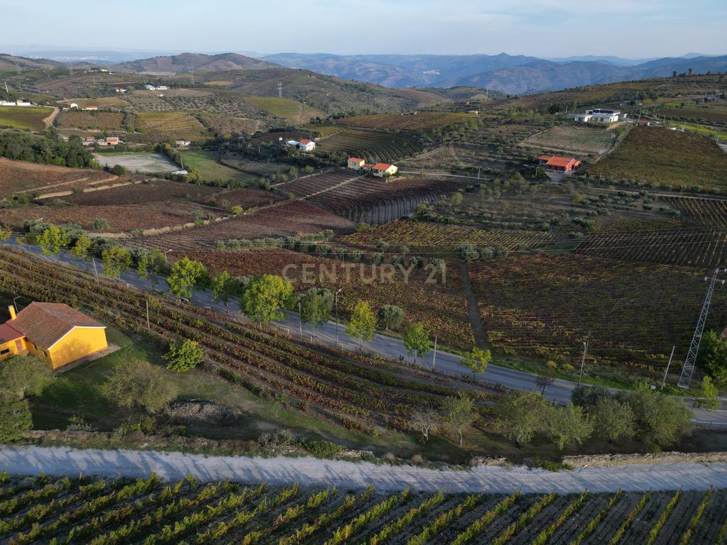Quinta com 10,000m2 albergando uma Moradia e Armazém em São João da Pesqueira - Image 18