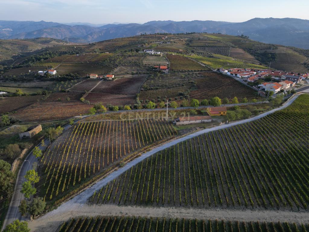 Quinta com 10,000m2 albergando uma Moradia e Armazém em São João da Pesqueira - Image 17