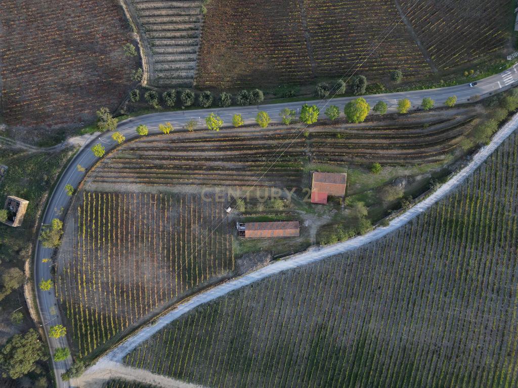 Quinta com 10,000m2 albergando uma Moradia e Armazém em São João da Pesqueira - Image 9