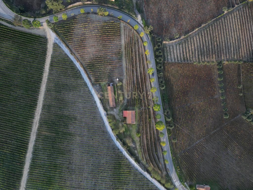 Quinta com 10,000m2 albergando uma Moradia e Armazém em São João da Pesqueira - Image 16