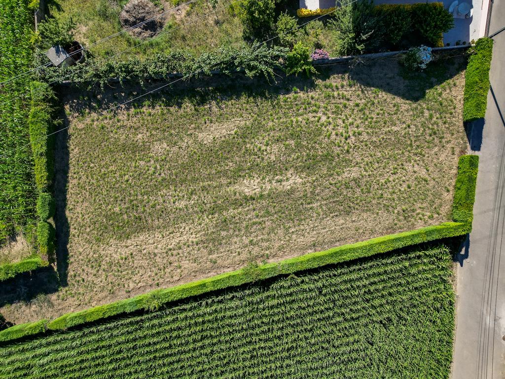 Terreno com 1.290m2 para construção de Moradia até 774m2, em Salreu - Image 32