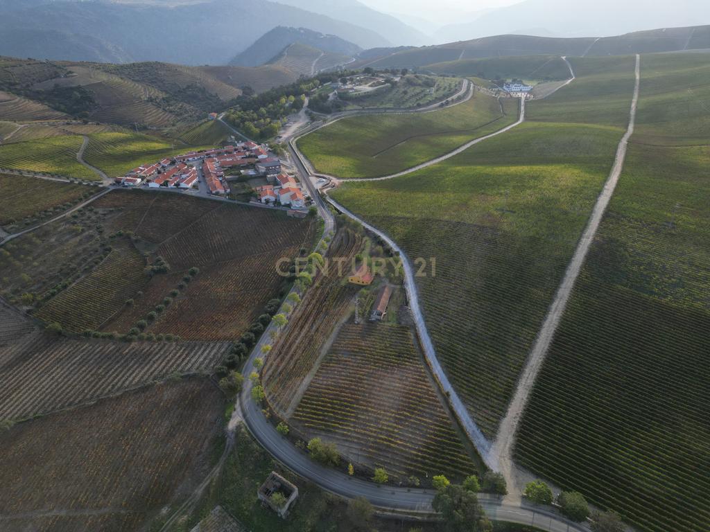 Quinta com 10,000m2 albergando uma Moradia e Armazém em São João da Pesqueira - Image 3