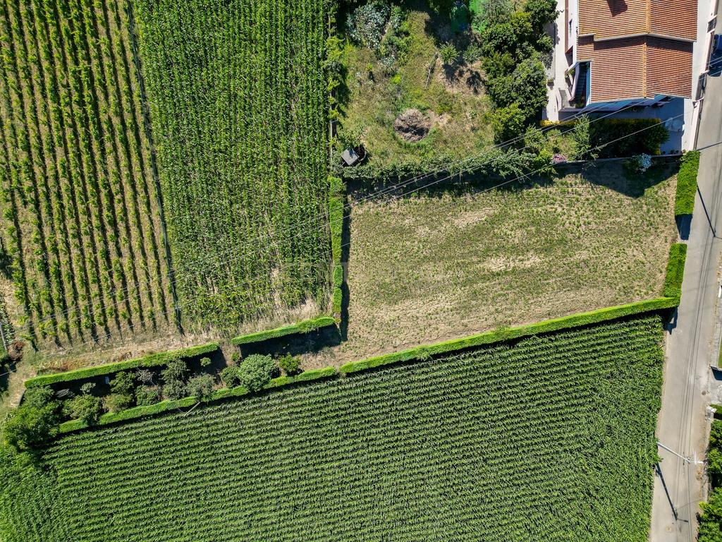 Terreno com 1.290m2 para construção de Moradia até 774m2, em Salreu - Image 12
