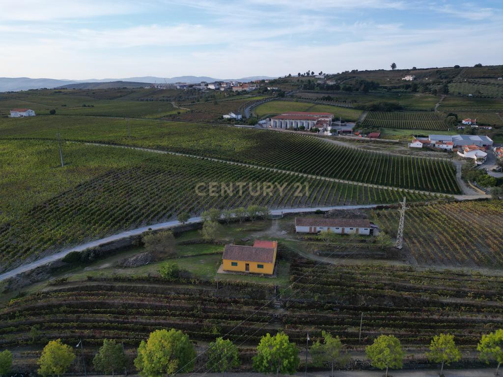 Quinta com 10,000m2 albergando uma Moradia e Armazém em São João da Pesqueira - Image 14