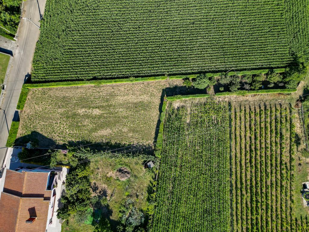 Terreno com 1.290m2 para construção de Moradia até 774m2, em Salreu - Image 33