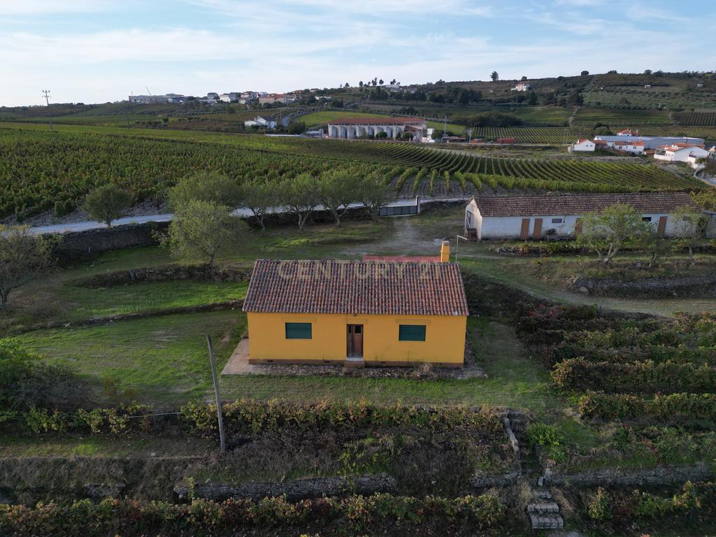Quinta com 10,000m2 albergando uma Moradia e Armazém em São João da Pesqueira - Image 10