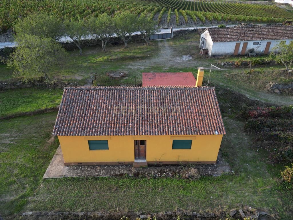 Quinta com 10,000m2 albergando uma Moradia e Armazém em São João da Pesqueira - Image 11