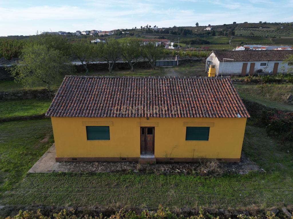 Quinta com 10,000m2 albergando uma Moradia e Armazém em São João da Pesqueira - Image 2