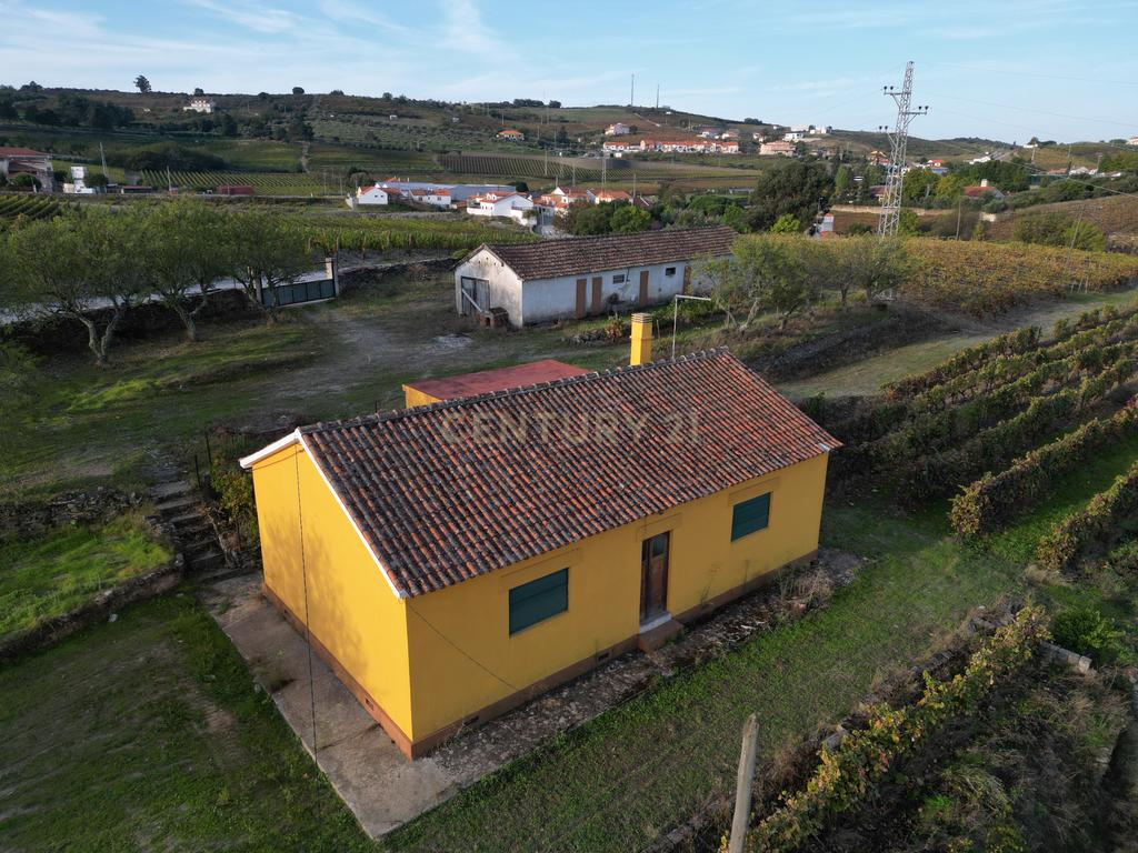 Quinta com 10,000m2 albergando uma Moradia e Armazém em São João da Pesqueira - Image 12