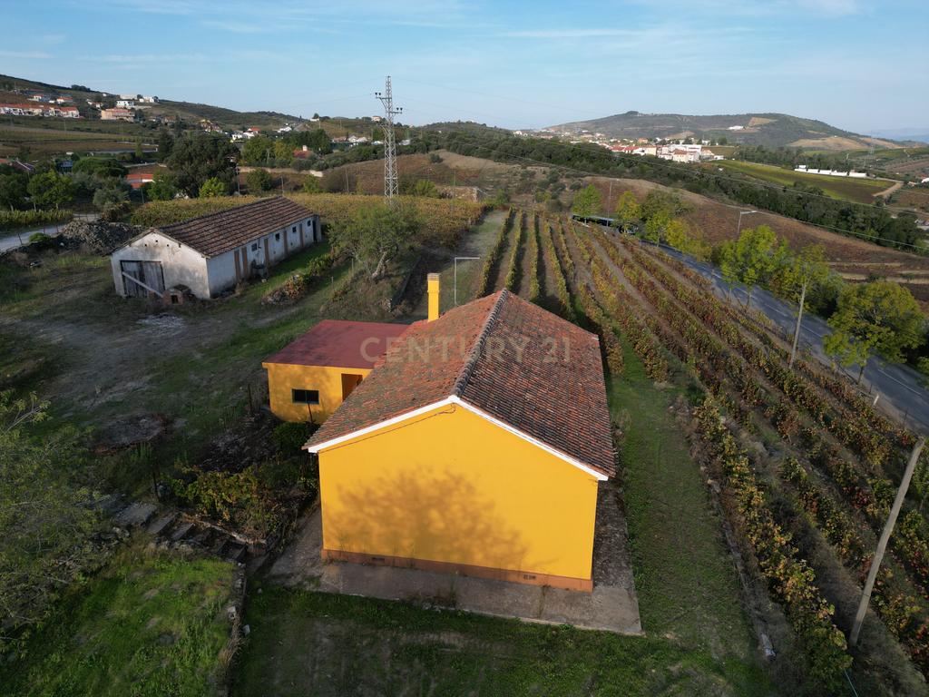 Quinta com 10,000m2 albergando uma Moradia e Armazém em São João da Pesqueira - Image 13