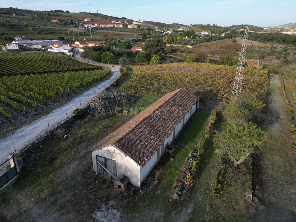 Quinta com 10,000m2 albergando uma Moradia e Armazém em São João da Pesqueira - Image 15