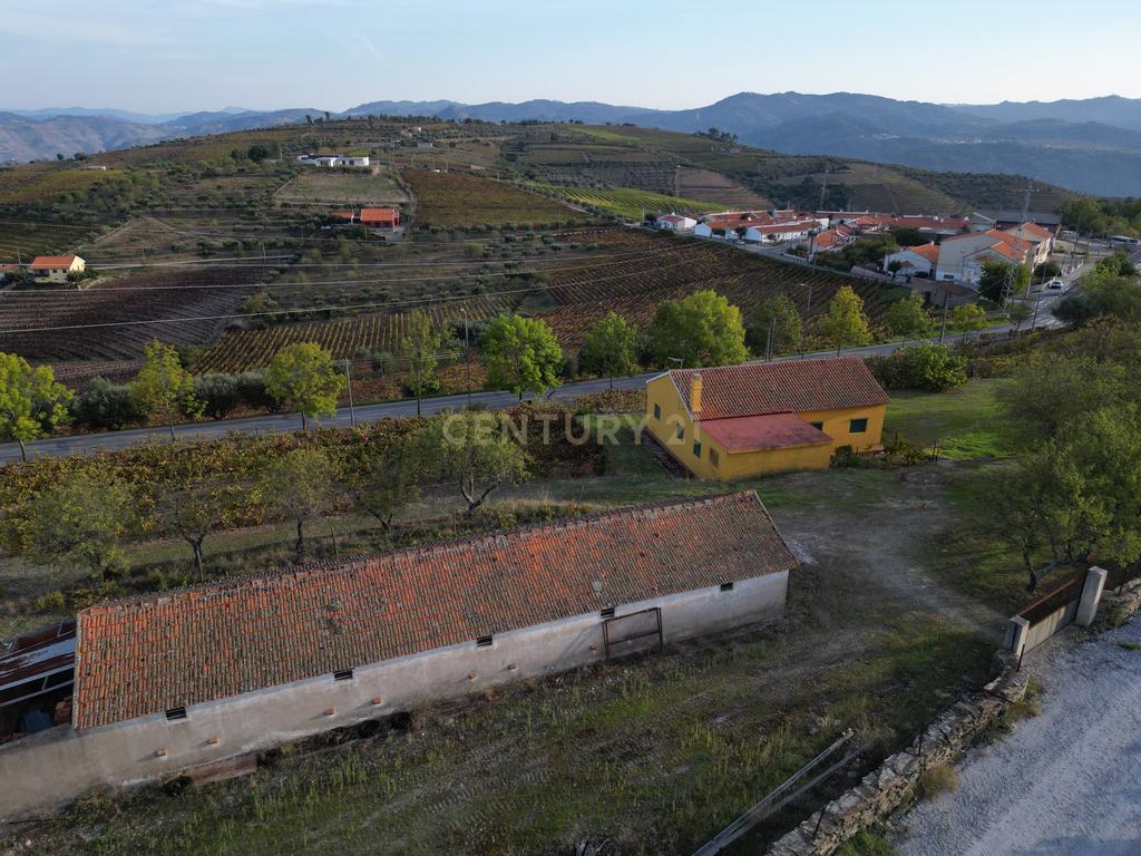 Quinta com 10,000m2 albergando uma Moradia e Armazém em São João da Pesqueira - Image 5