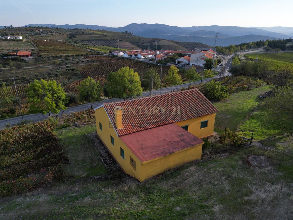 Quinta com 10,000m2 albergando uma Moradia e Armazém em São João da Pesqueira - Image 6