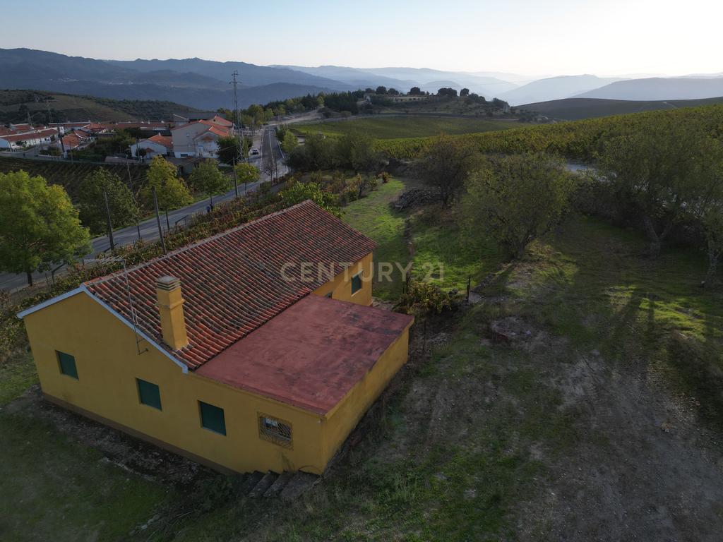Quinta com 10,000m2 albergando uma Moradia e Armazém em São João da Pesqueira - Image 7