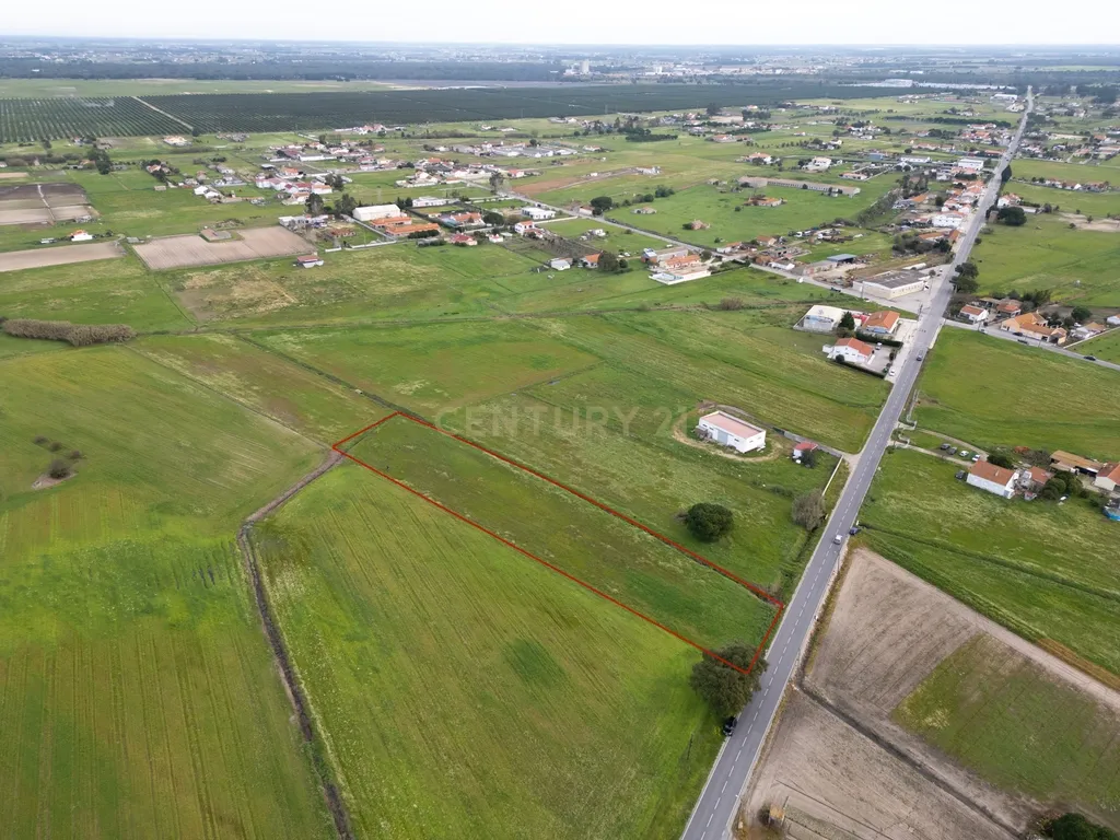 Terreno 5000m2 Urbanizável em Lagameças - Image 7